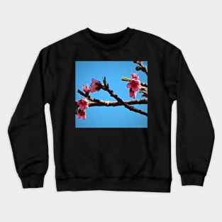 Peach Blossoms Crewneck Sweatshirt